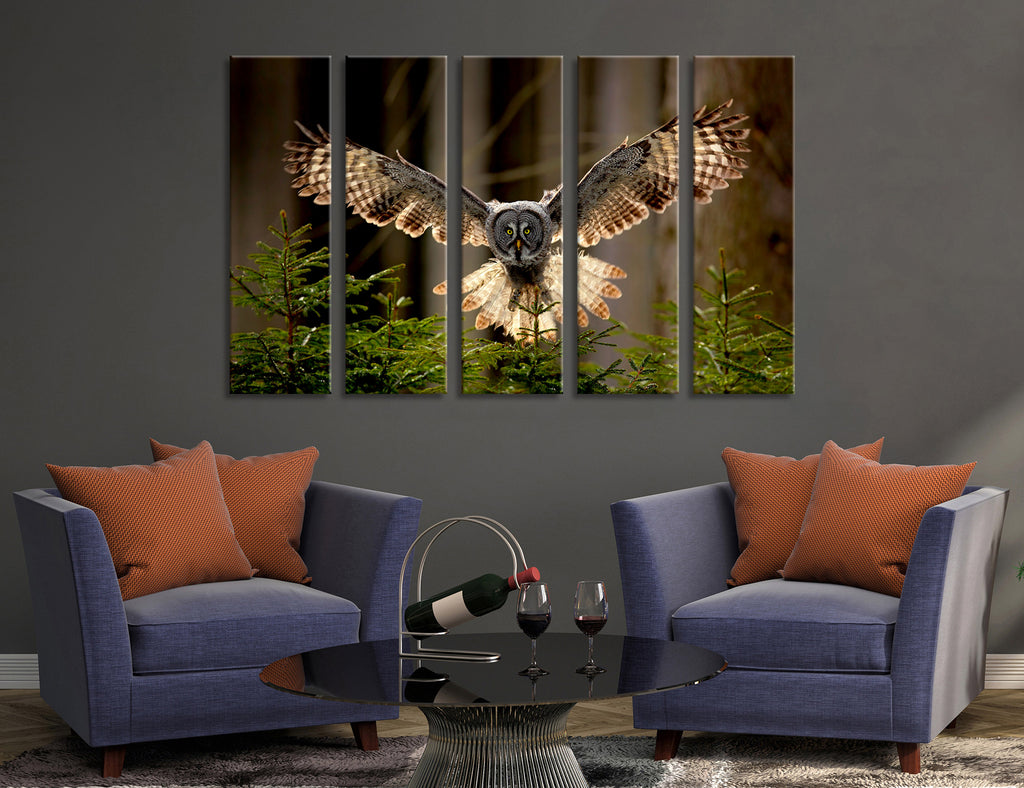 Owl Canvas Print #8015