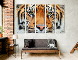 Tiger Head Canvas Print #8003