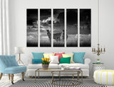 BW Nature Africa Canvas Print #8033