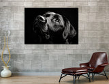 Black Labrador Retriever Canvas Print, Dog Lover's Wall Art, Labrador Decor, Elegant Dog Canvas, Pet Portrait Wall Art, Black Lab Decor#8257