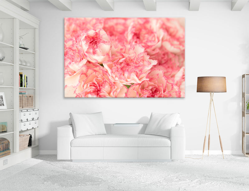 Pink Carnations Canvas Print #7557