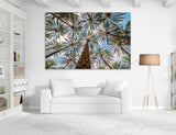 Hawaiian Palms Canvas Print #7571