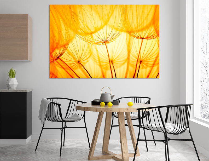 Dandelions Abstract Canvas Print #1221