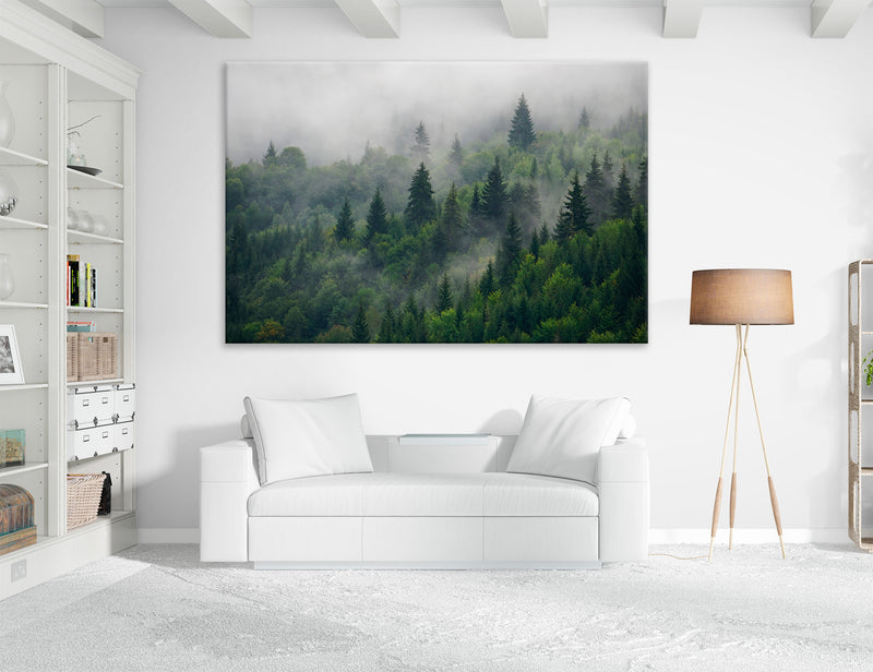 Misty Forest Landscape Canvas Print #7577