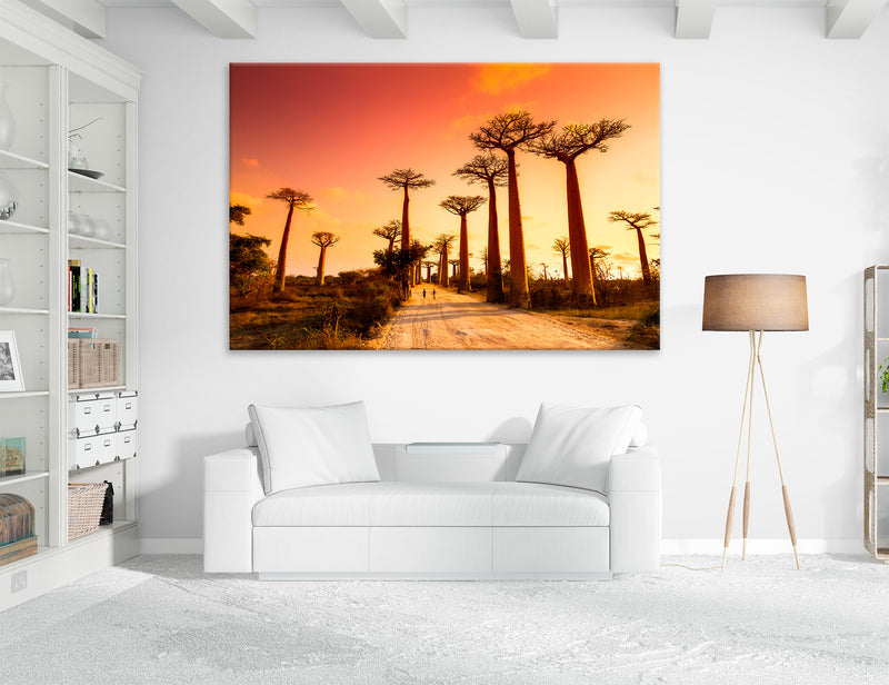 Madagascar Canvas Print #7580