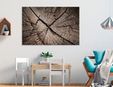 Stump Cut Canvas Print #7574