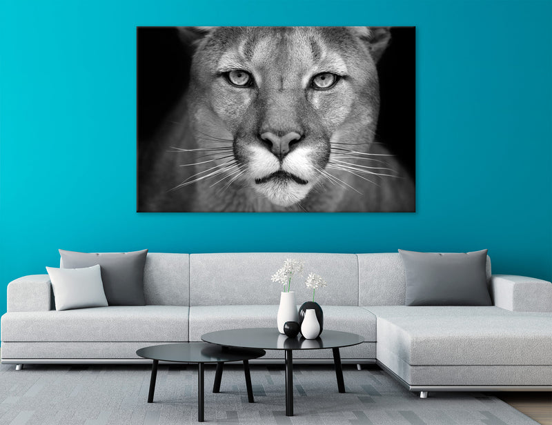 Puma's Head Canvas Print #8219