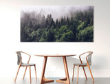 Misty Forest Canvas Print #7224