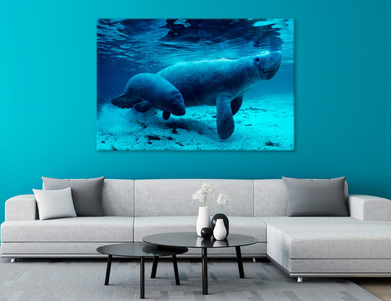 Manatee Canvas Print #8206