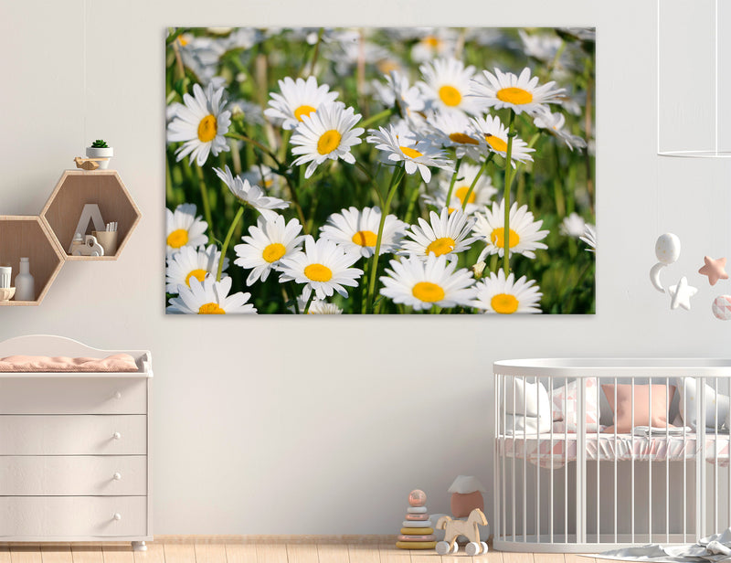 Field Canvas Print #7571