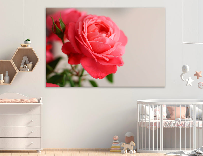 Rose Flower Canvas Print #7562