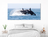 Killer Whales Canvas Print #8144