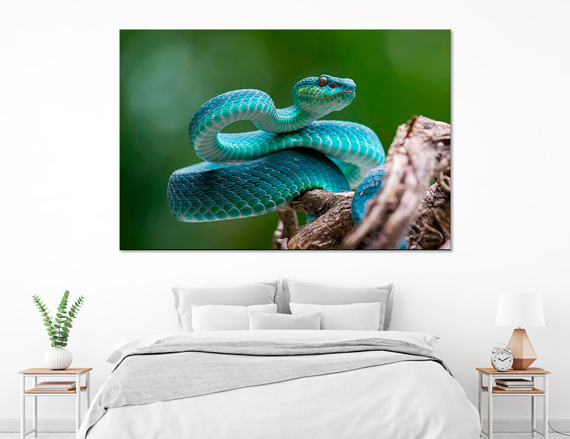 Blue Viper Canvas Print #8201