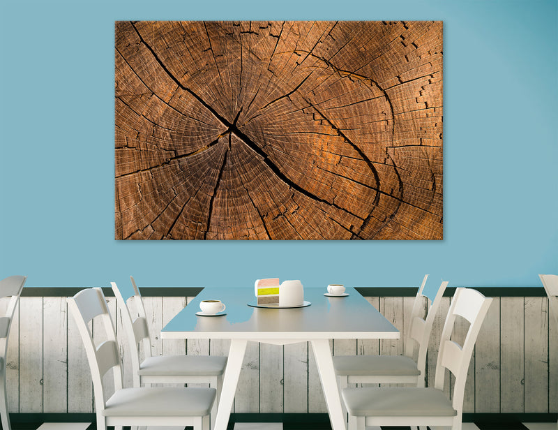 Tree Stump Canvas Print #1328
