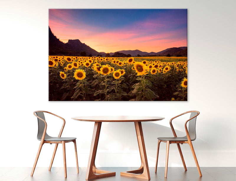Sunflower Field Canvas Print #7578