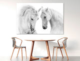 Two White Horses Canvas Print #8228