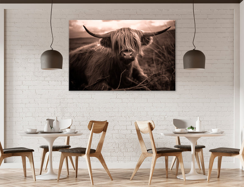 Highland Cattle Sepia Canvas Print #8218