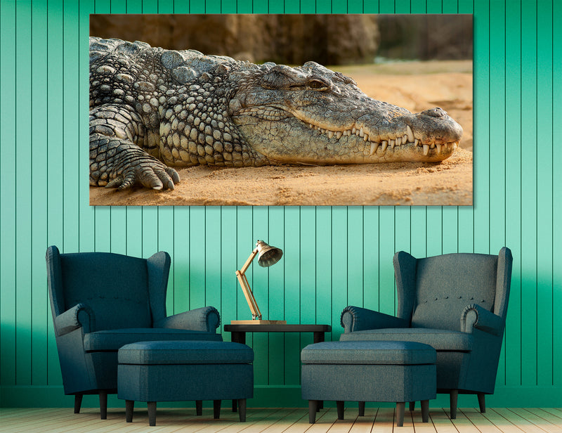 Alligator Canvas Print #8151