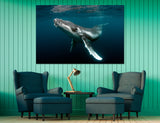 Humpback Whale Canvas Print #8071