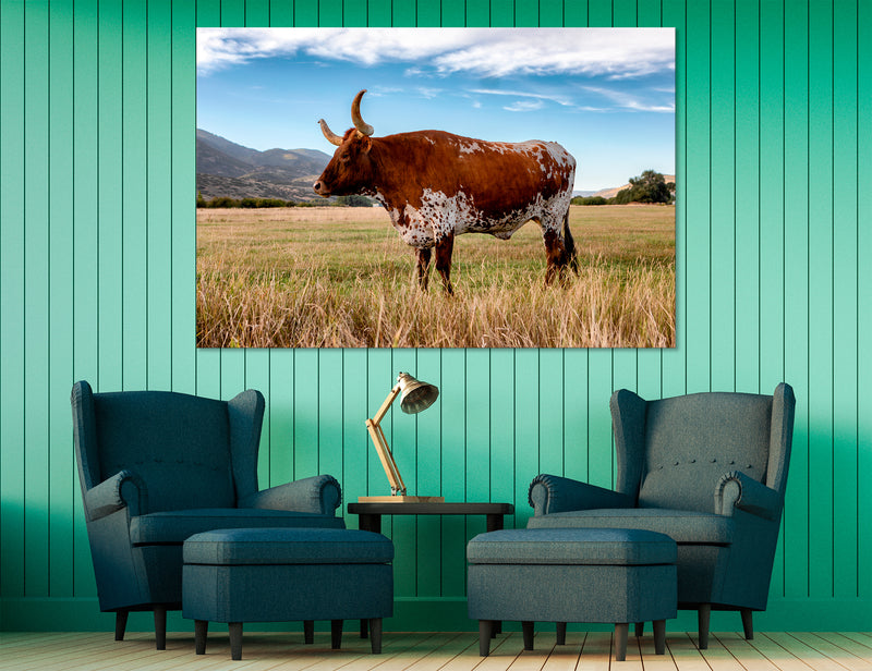 Longhorn Canvas Print #8193