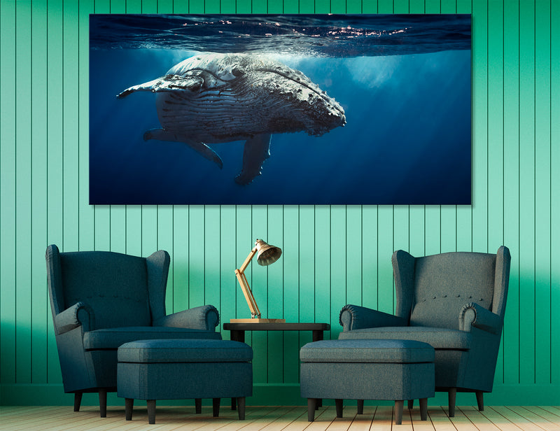 Whale Image Canvas Print #8139