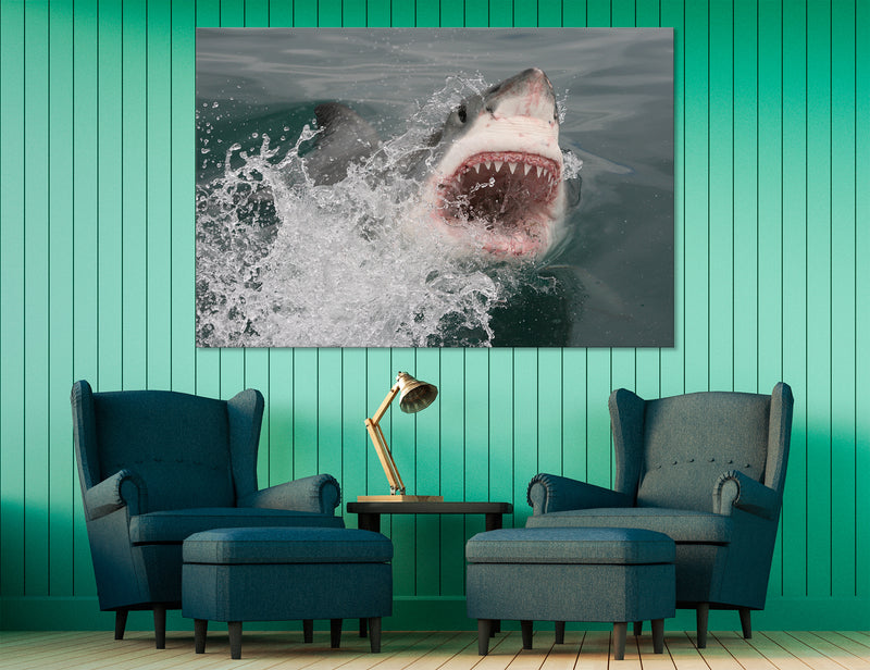 Shark Maw Canvas Print #8087