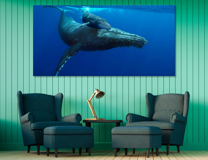 Little Whale Canvas Print #8145