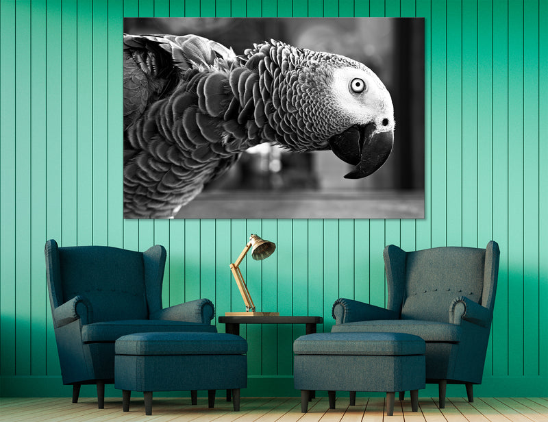 Pets – Canvare | Canvas Prints