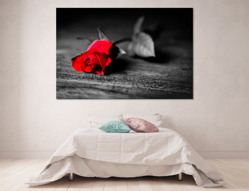 Black Rose Canvas Print #6502