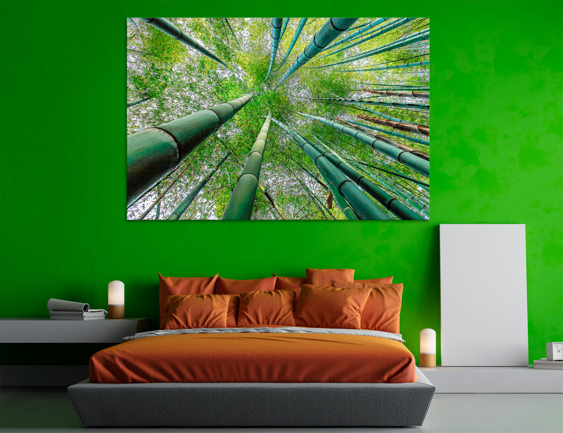 Bamboo Canvas Print #7231