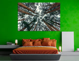 Trees Wall Art Canvas Print #7236