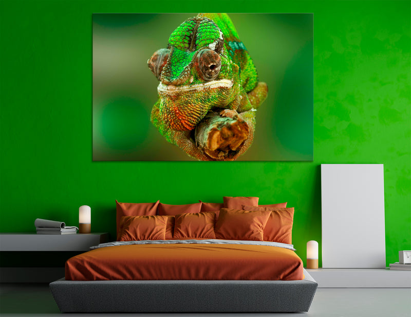 Chameleon Canvas Print #8111