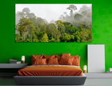 Green Forest Canvas Print #7198