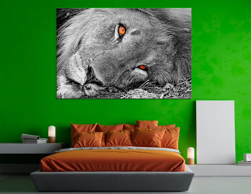 Lion Decor Canvas Print #8120