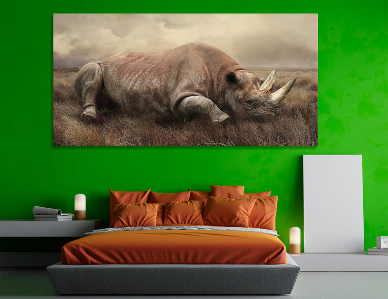 Vintage Rhino Canvas Print #8148