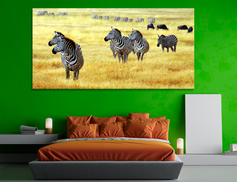 Zebras Canvas Print #8138