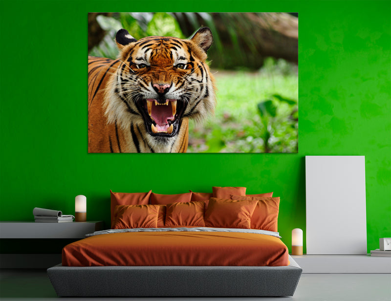 Tiger Grin Canvas Print #8094