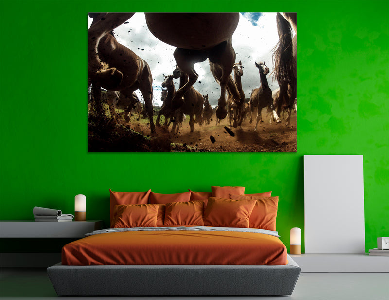 Herd of Horses Canvas Print #8061