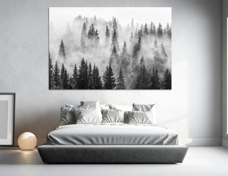 Black and White Art Canvas Print