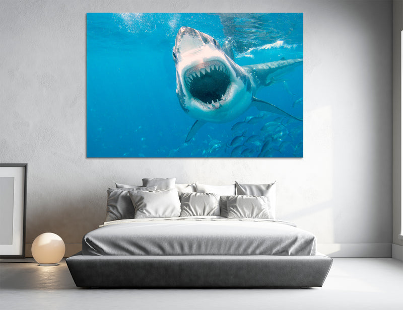 Sea Predator Canvas Print #8093
