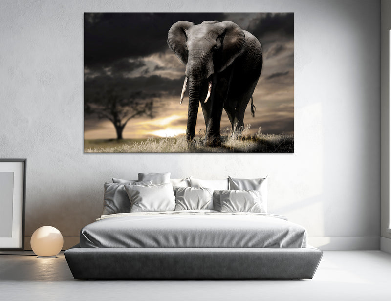African Nature Canvas Print #8074