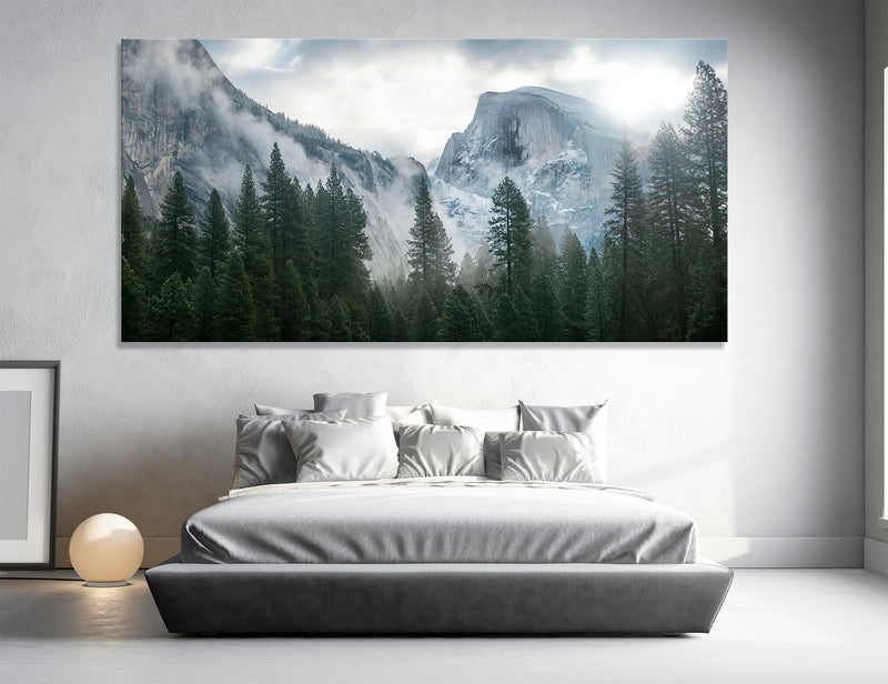 Forest Canvas Print #7145
