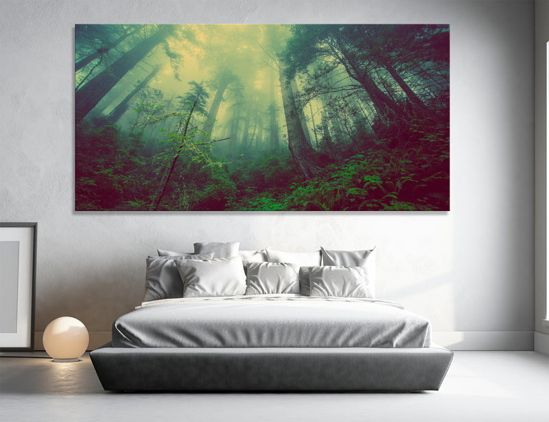 Treetops Canvas Print #7192