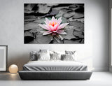 Lily Canvas Print #6503