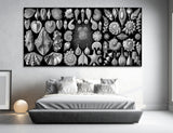 Shell Decor Canvas Print #6611