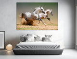 Two Horses Canvas Print #8110