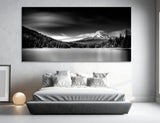 Black and White Nature Canvas Print