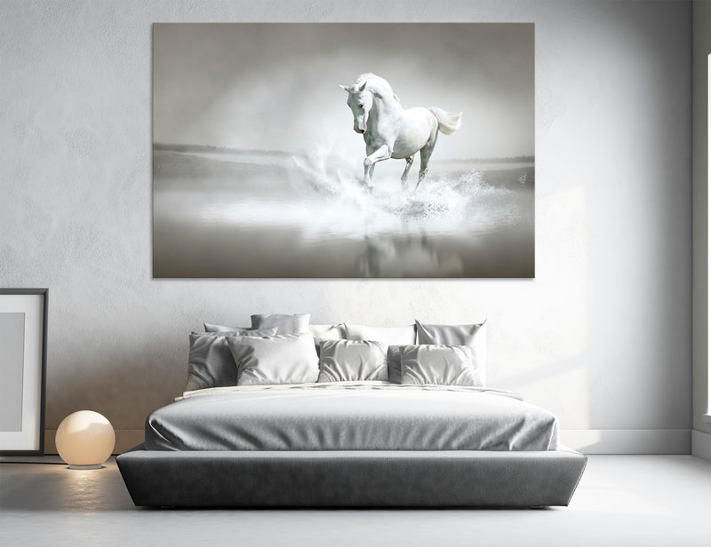 White Horse Canvas Print #8068