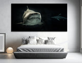 Shark in the Abyss Canvas Print #8150