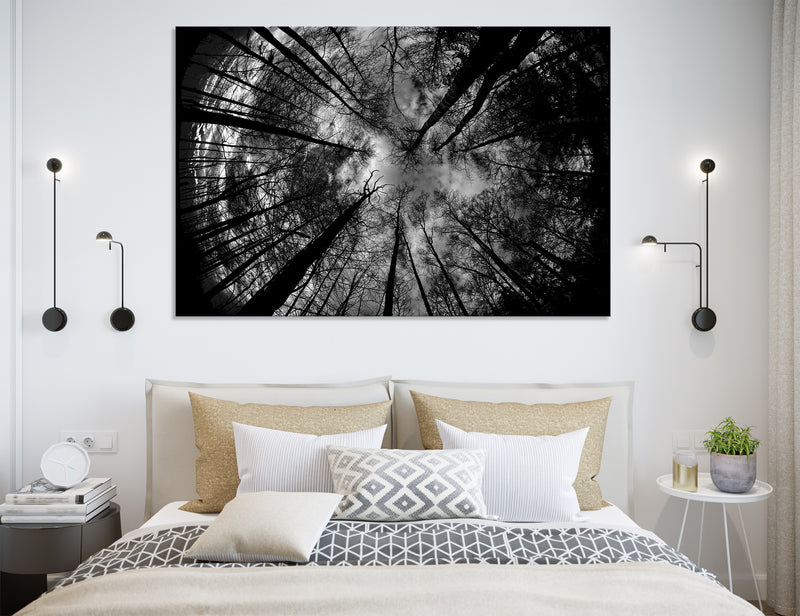 Trees Canvas Print #7001